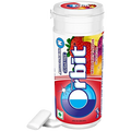 Orbit Mixed Fruit Sugar Free Gum